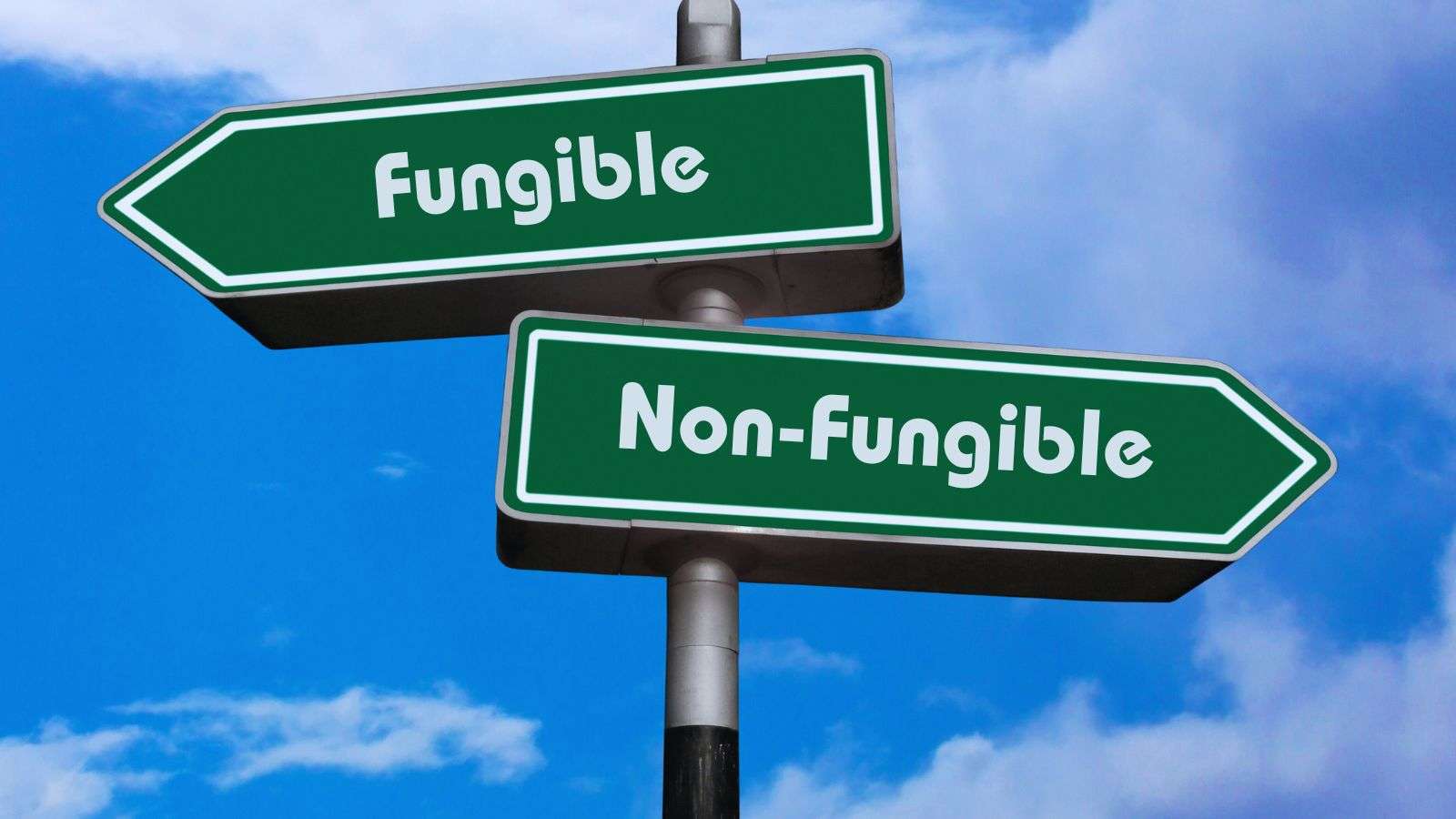 fungible versus non-fungible